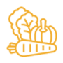 strength-icon-1 strength-icon-1